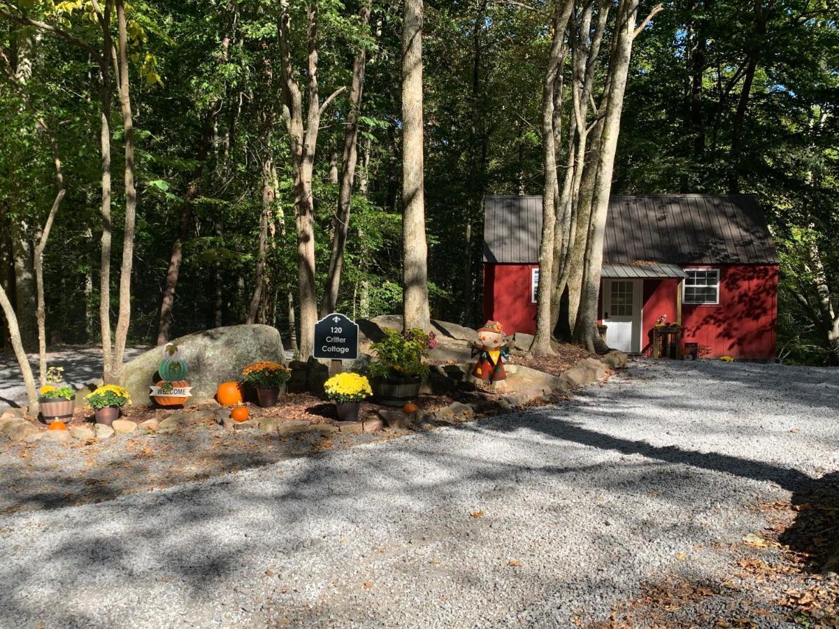 Coops Creek Cabins Dunlap ภายนอก รูปภาพ